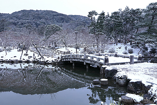 円山公園　雪　写真