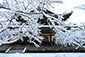 南禅寺　冬　画像
