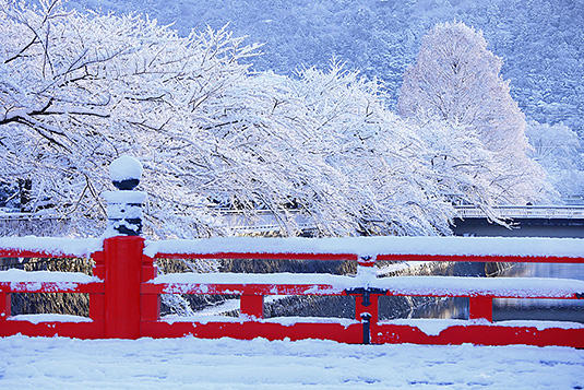 岡崎疏水　雪　写真