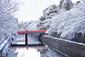 岡崎疏水　雪景色　写真