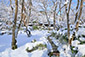 大河内山荘　雪景色　冬の庭園