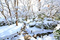 京都　嵐山　大河内山荘庭園　冬