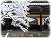 南禅寺　雪景色