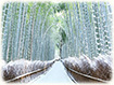 京都　雪　高画質画像