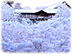 東福寺　雪景色
