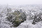 京都霊山護國神社　雪の京都市