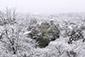京都　霊山護国神社　雪景色　画像