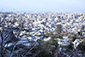 京都霊山護國神社　京都市の雪景色