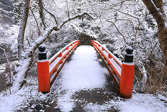 西明寺　雪　写真