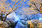 京都　東山　雪景色
