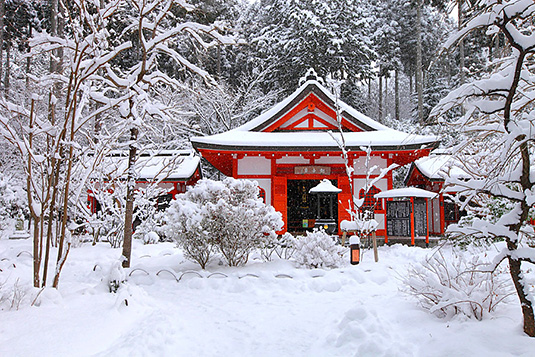 �O��@�@��i�F�@�摜