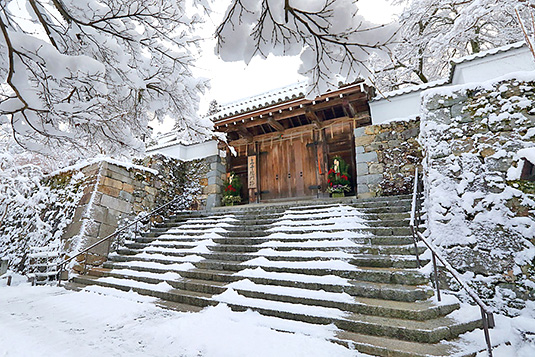 �O��@�@��@���掿�摜