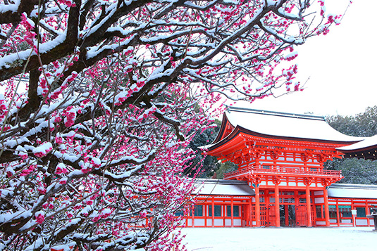 �����_�Ё@��@�摜