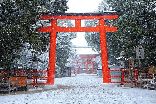 �����_�Ё@��̋���