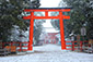 京都　下鴨神社　冬
