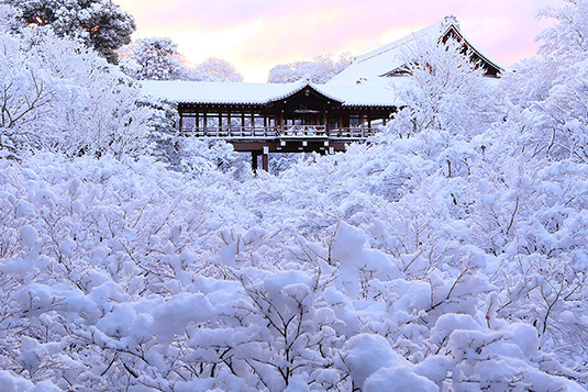 東福寺　雪　写真