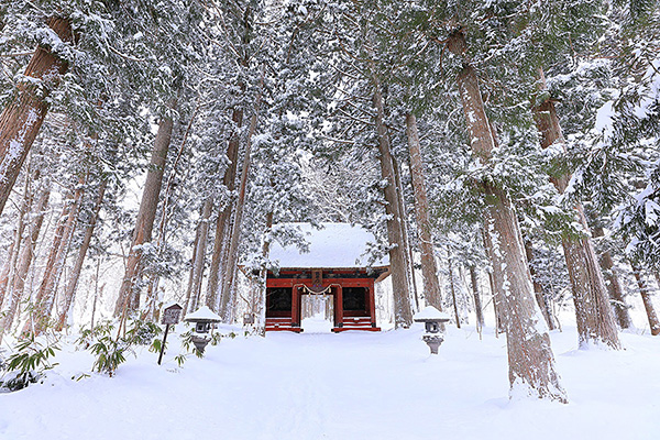 戸隠神社　雪