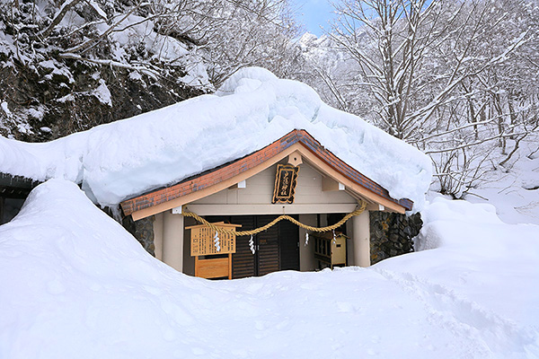 戸隠神社　雪　画像