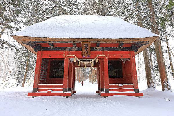 戸隠神社　冬