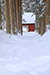 戸隠　雪景色　高画質写真