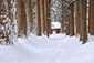 戸隠神社の冬　雪