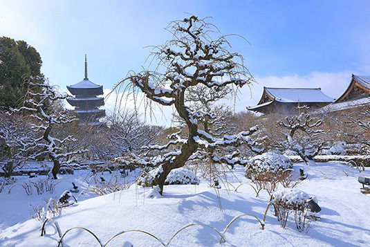 �����@��i�F�@�ʐ^