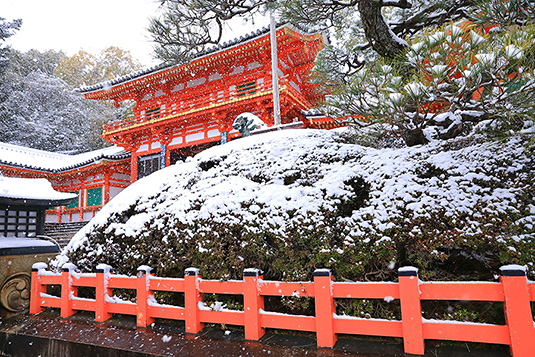 八坂神社　雪景色　写真
