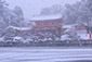 京都　八坂神社　冬