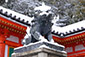 八坂神社　狛犬　雪