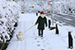 長野　雪　散歩