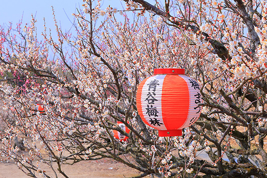 �J�~�с@�~�܂�