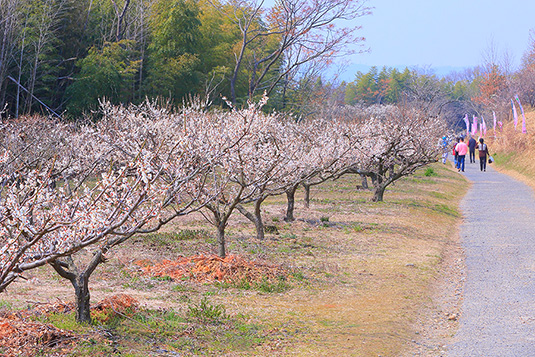 �J�~�с@���t