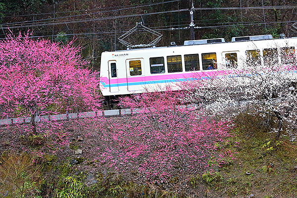 �b�R�d�ԁ@�~