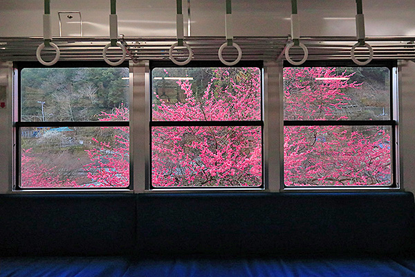 �b�R�d�ԁ@�~�@�ԑ�