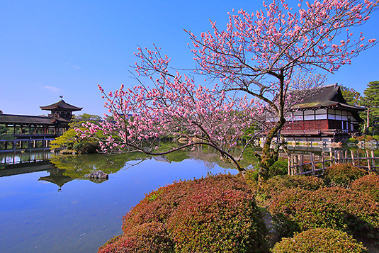 �����_�{�@�~�@�摜