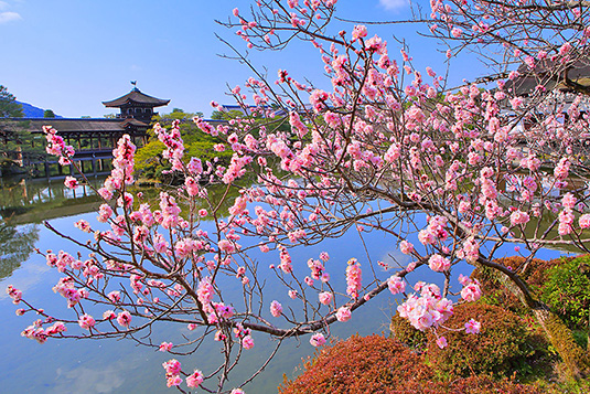 �����_�{�@�~�@���掿