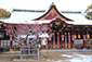 京都　北野天満宮　梅と雪　