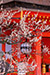 京都　北野天満宮の梅　高解像度画像