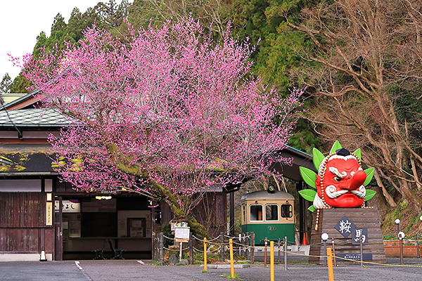 �Ɣn�@�~�@�ʐ^