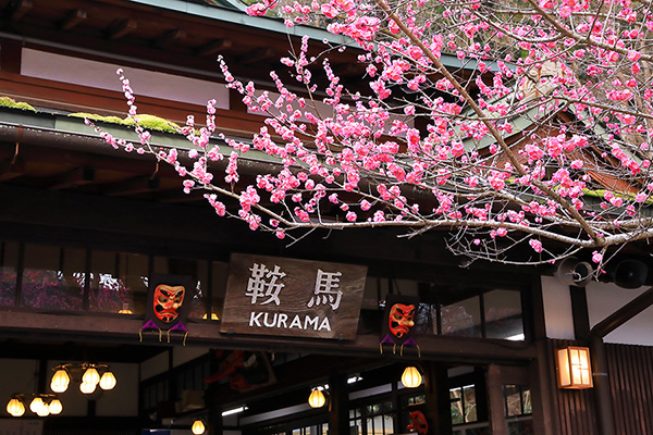 �Ɣn�@�~�@�摜