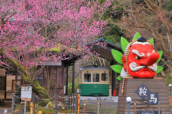 �b�R�d�ԁ@�Ɣn�@�~