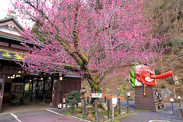 �Ɣn�@�~�@���掿�摜