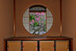 京都　梅　窓　画像