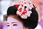 京都の梅　行事　北野天満宮　梅花祭