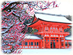 京都　梅と雪景色