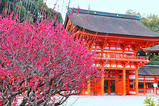 �����_�� �~