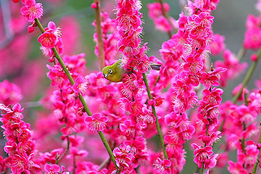 �����_�Ё@�~�@���W��