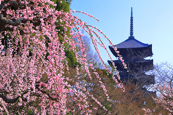 �����@�~