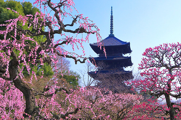 �����@�~�@�܏d��