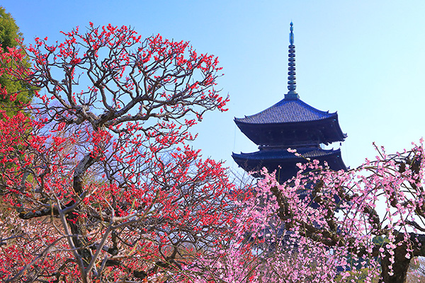 �����@�~�@���掿�摜